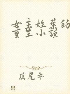 女主姓叶的军旅重生小说