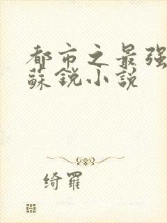 都市之最强狂兵苏锐小说