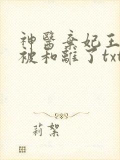 神医弃妃王爷又被和离了txt下载