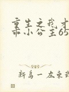 重生之我才是乖乖小公主65