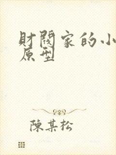 财阀家的小儿子原型