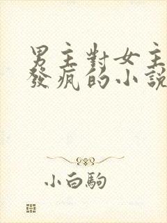 男主对女主爱到发疯的小说