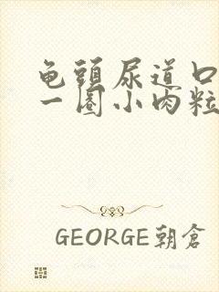 龟头尿道口长了一圈小肉粒子