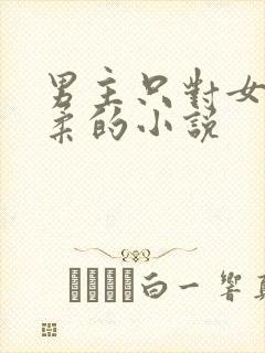男主只对女主温柔的小说