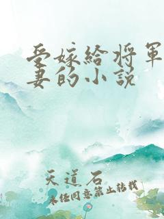 受嫁给将军当男妻的小说