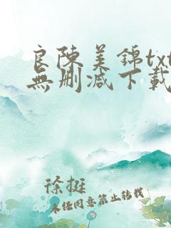 良陈美锦txt无删减下载