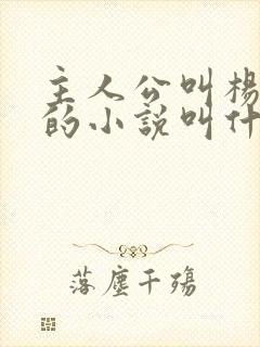 主人公叫杨小天的小说叫什么名字