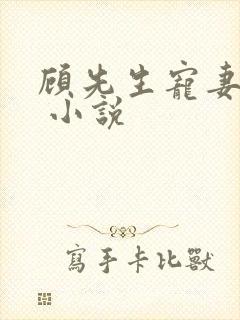 顾先生宠妻有度 小说