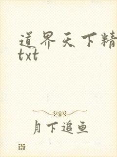 道界天下精校版txt
