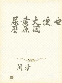 尿黄大便也黄什么原因