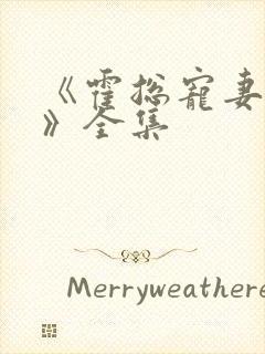 《霍总宠妻无度》全集