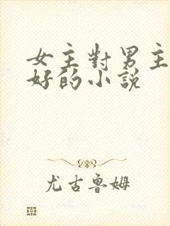 女主对男主特别好的小说