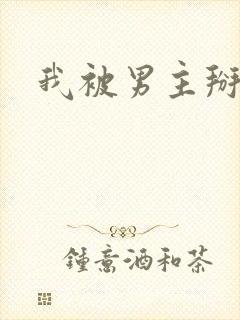 我被男主掰弯了