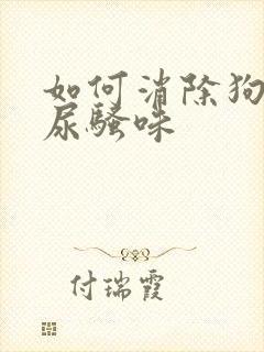 如何消除狗狗的尿骚味