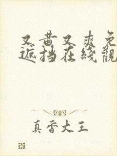 又黄又爽免费无遮挡在线观看