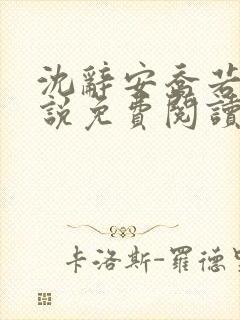 沈辞安乔若兮小说免费阅读