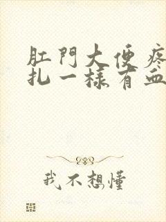 肛门大便疼像针扎一样有血