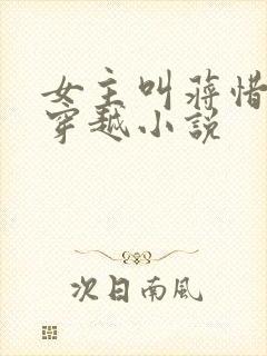 女主叫蒋惜纯的穿越小说