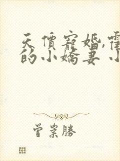 天价宠婚,霍总的小娇妻 小说