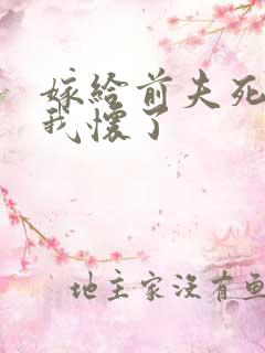 嫁给前夫死对头我怀了