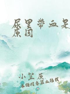 尿里带血是什么原因