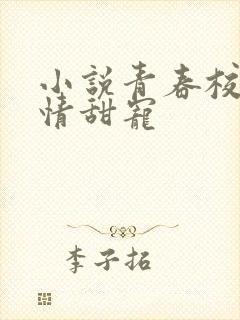 小说青春校园言情甜宠