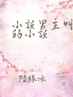 小说男主叫林然的小说