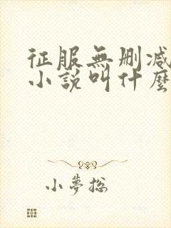 征服无删减原著小说叫什么