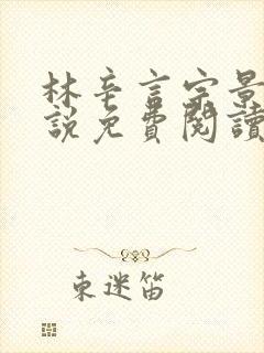 林辛言宗景灏小说免费阅读