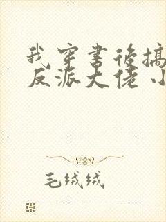 我穿书后搞到了反派大佬 小说