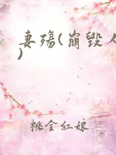 妻殇(崩毁人生)