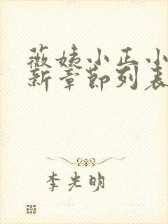 薇姨小正小说最新章节列表