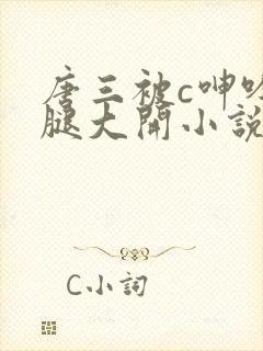 唐三被c呻吟双腿大开小说