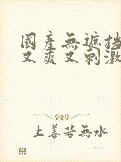 国产无遮挡又黄又爽又刺激视频