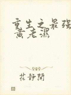 重生之最强大亨 黄老湿