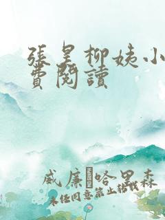 张昊柳姨小说免费阅读