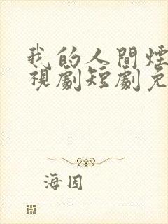 我的人间烟火电视剧短剧免费观看