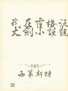 我在霍格沃茨抡大剑小说观看