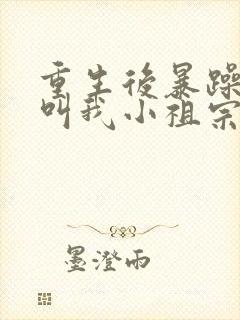 重生后暴躁大佬叫我小祖宗下载全本txt