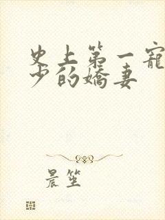 史上第一宠婚慕少的娇妻