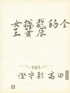 女总裁的全能兵王萧辰