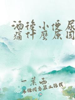 酒后小便尿道刺痛什么原因引起的