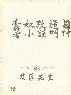 杏奴改造日常原著小说叫什么名字