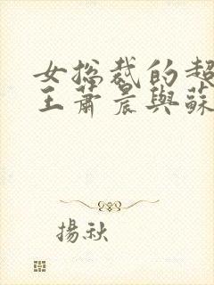 女总裁的超级兵王萧晨与苏晴