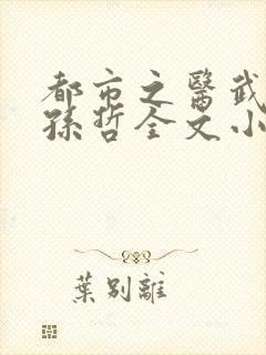 都市之医武风流孙哲全文小说