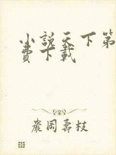 小说天下第九免费下载