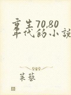 重生70,80年代的小说