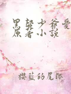 黑帮少爷爱上我原著小说