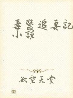 毒医追妻记gl小说