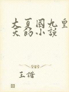 大夏国九皇子夏天的小说